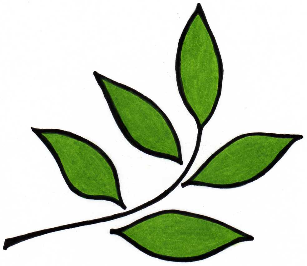 New Leaf Design logo